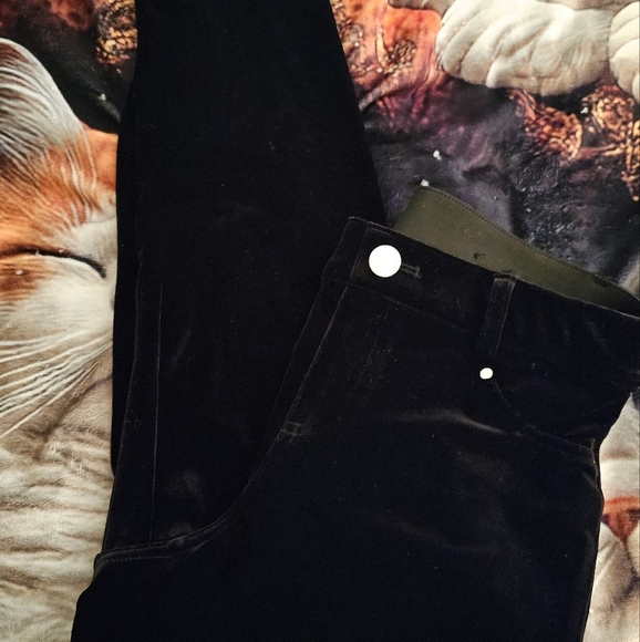 BLK VELVET PETITE LEGGINGS - Picture 1 of 7